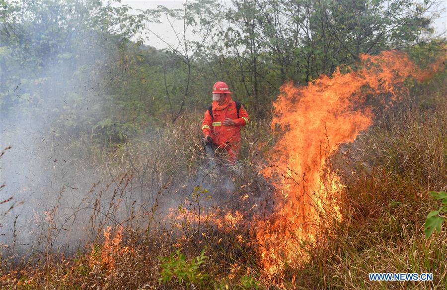 CHINA-ANHUI-FEIXI-FOREST FIRE-DRILL (CN)