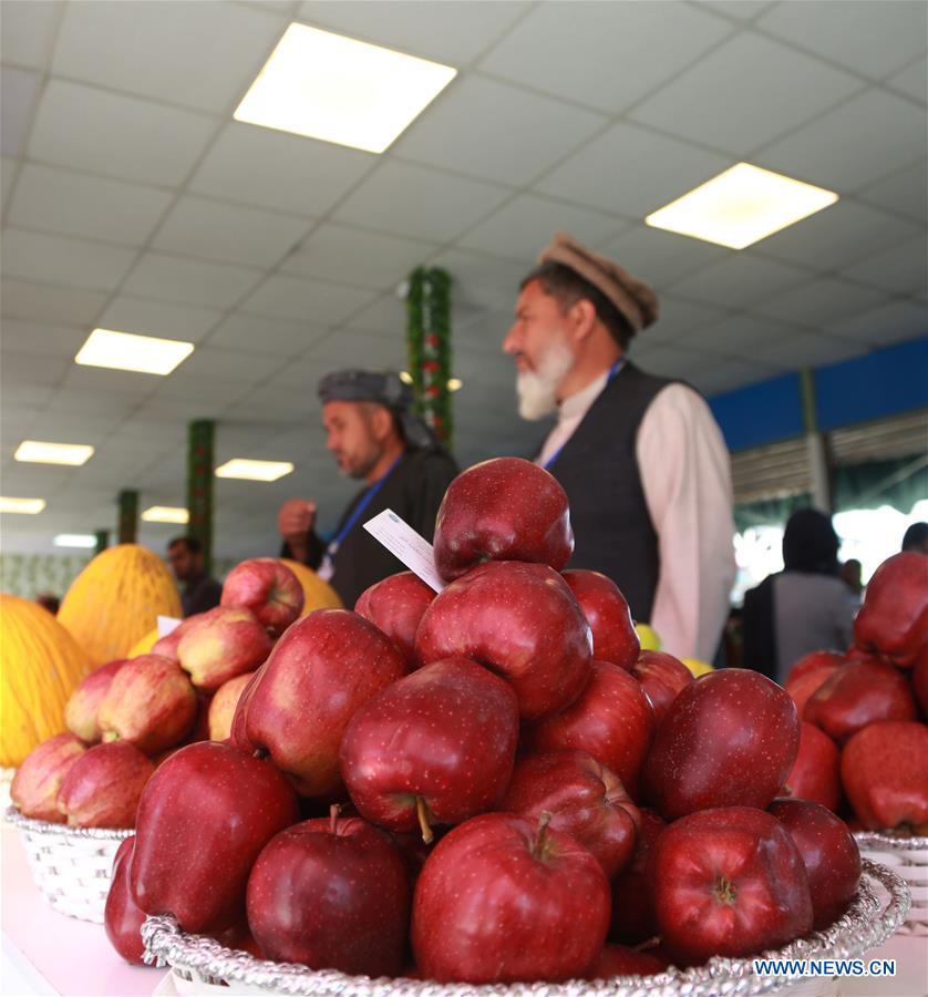 AFGHANISTAN-KABUL-AGRICULTURAL FAIR