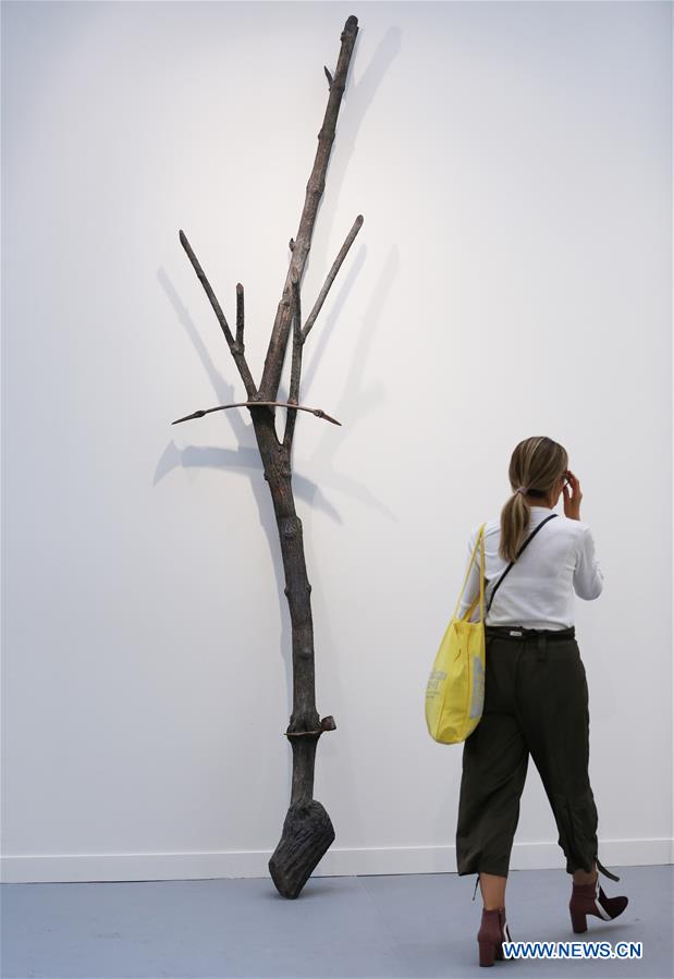 FRANCE-PARIS-FIAC 2019