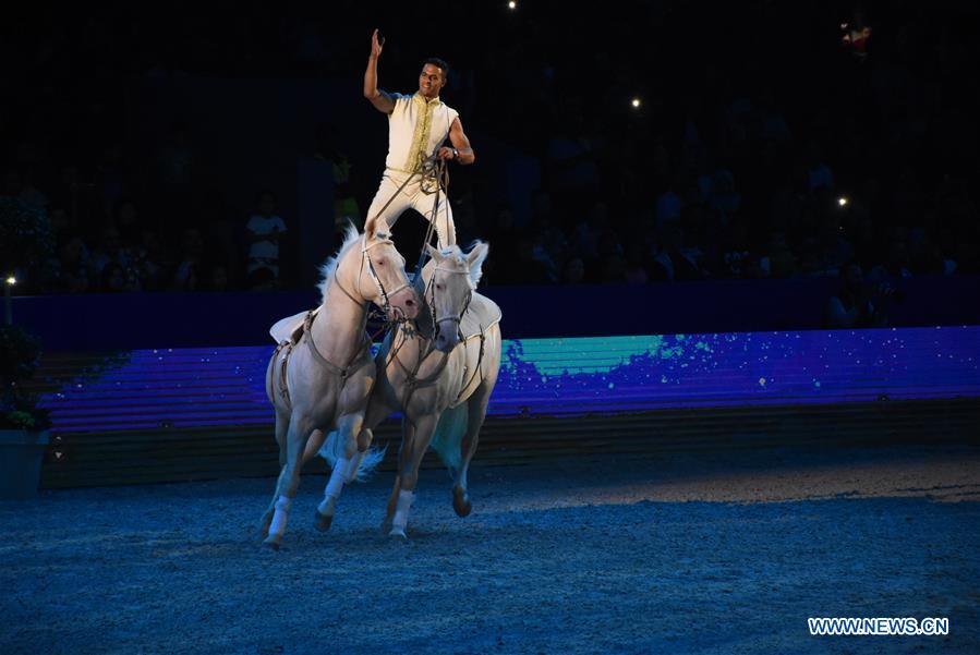 MOROCCO-EL JADIDA-HORSE EXHIBITION