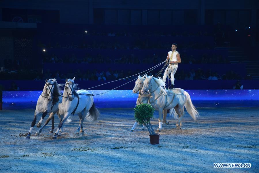 MOROCCO-EL JADIDA-HORSE EXHIBITION
