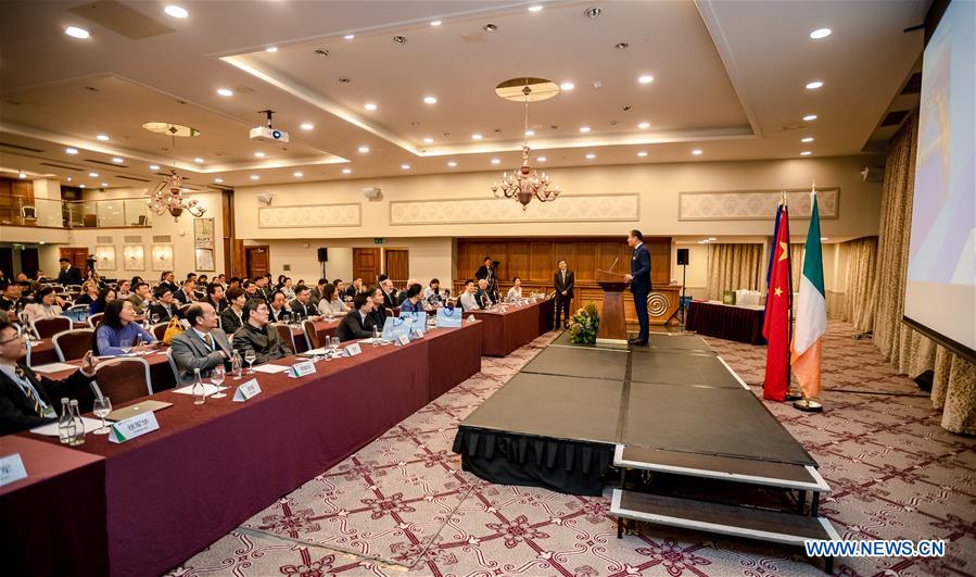  IRELAND-DUN LAOGHAIRE-FCPAE-EUROPE FORUM