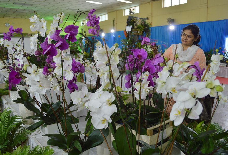 A feast for the eyes! Orchid Show held in India's Bangalore Xinhua