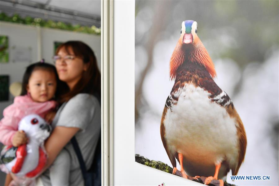 CHINA-TAIPEI-INT'L BIRD WATCHING FAIR (CN)