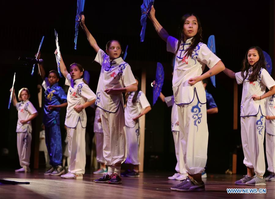 U.S.-China Students Gala Held in Chicago to Promote Cultural Exchanges