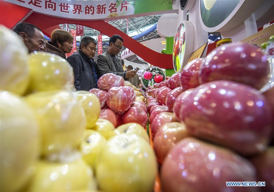 CHINA-SHANXI-YUNCHENG-FRUIT-TRADE EXPO (CN)