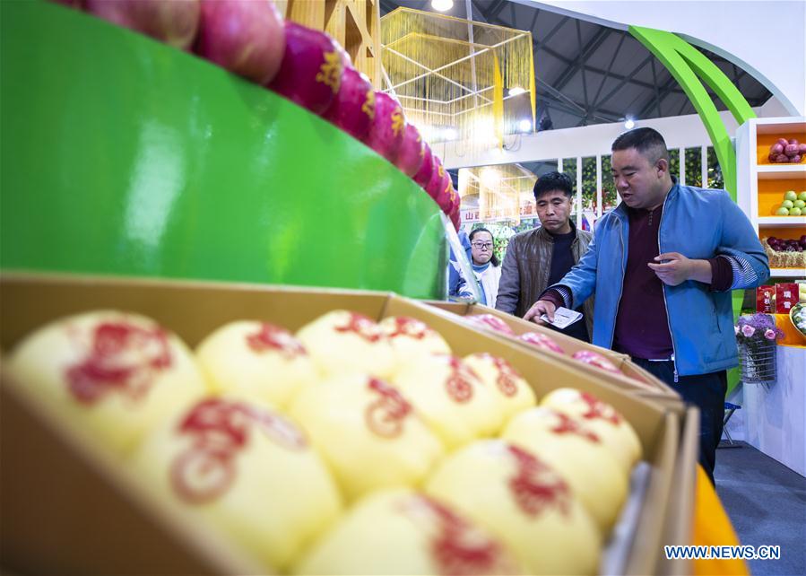 CHINA-SHANXI-YUNCHENG-FRUIT-TRADE EXPO (CN)