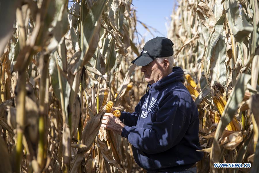 U.S.-IOWA-ATLANTIC-CHINA-TRADE-FARMER