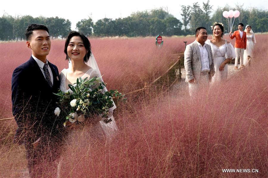 CHINA-HENAN-ZHENGZHOU-PINK GRASS-TOURISM (CN)