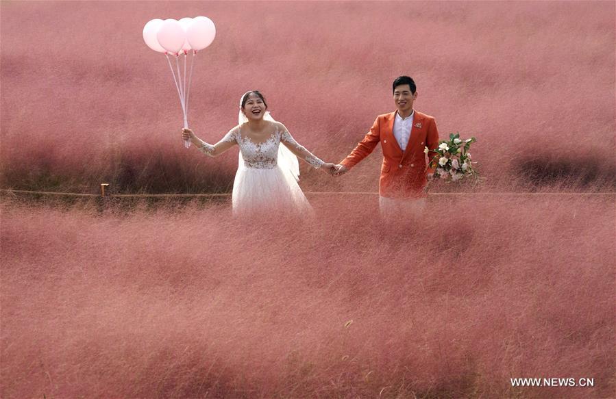 CHINA-HENAN-ZHENGZHOU-PINK GRASS-TOURISM (CN)