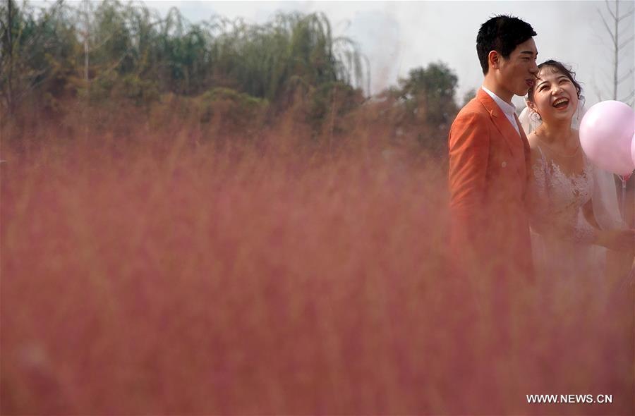 CHINA-HENAN-ZHENGZHOU-PINK GRASS-TOURISM (CN)