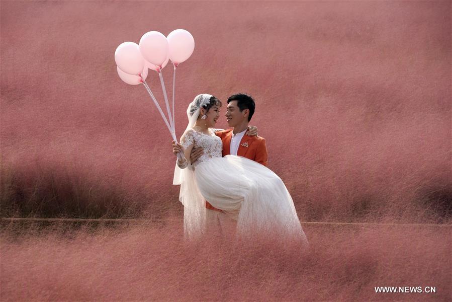 CHINA-HENAN-ZHENGZHOU-PINK GRASS-TOURISM (CN)