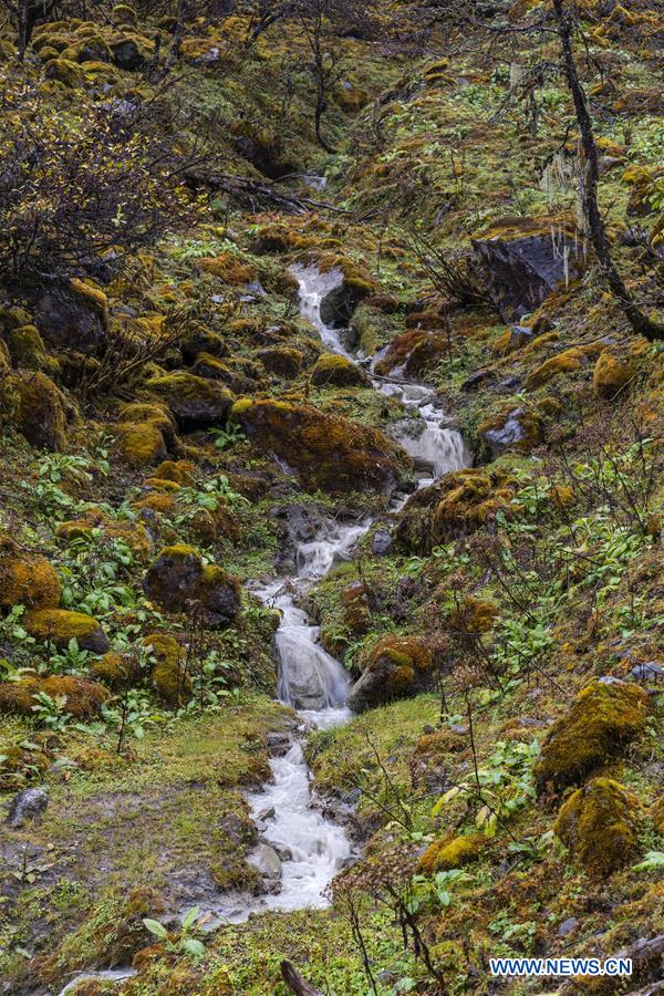 CHINA-TIBET-MEDOG-SCENERY (CN)