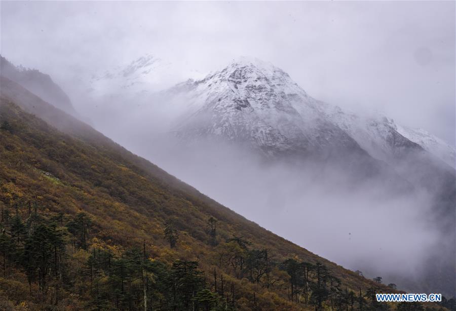 CHINA-TIBET-MEDOG-SCENERY (CN)
