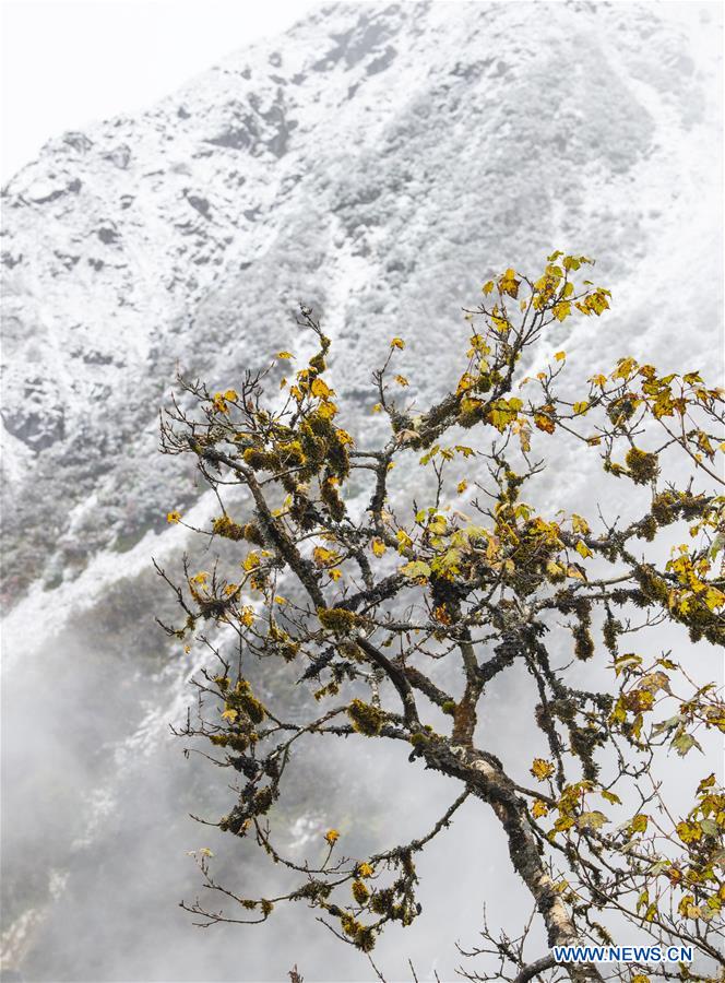 CHINA-TIBET-MEDOG-SCENERY (CN)