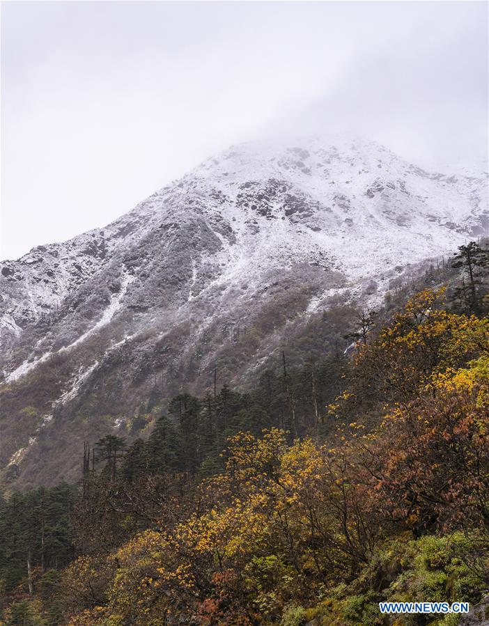 CHINA-TIBET-MEDOG-SCENERY (CN)