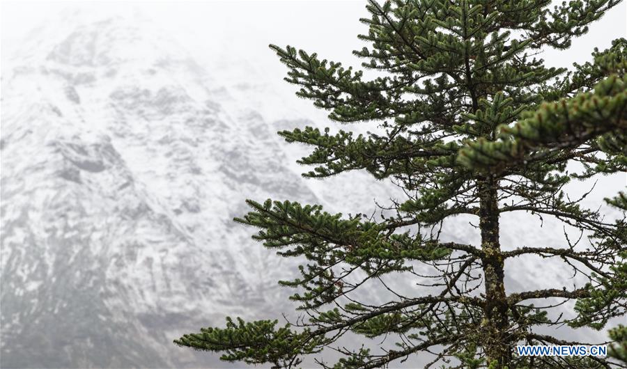 CHINA-TIBET-MEDOG-SCENERY (CN)