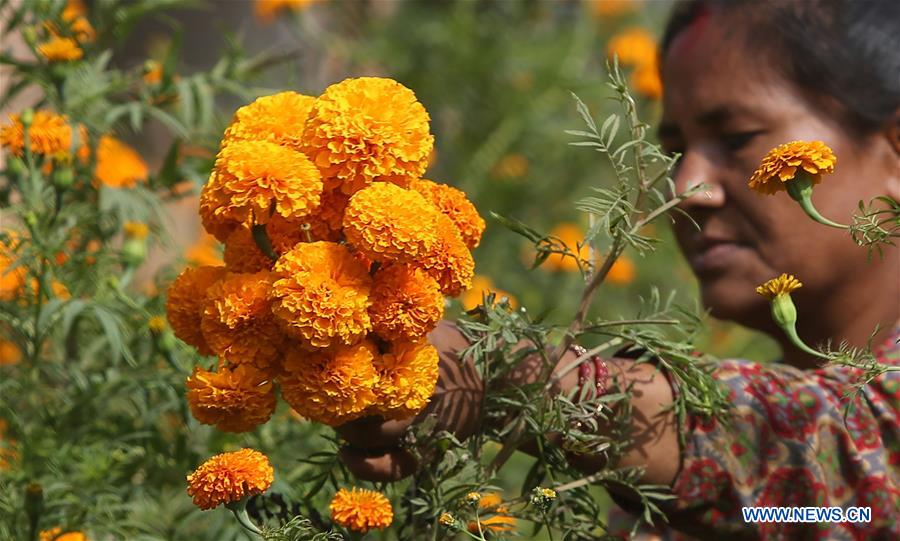 NEPAL-KATHMANDU-TIHAR FESTIVAL-FLOWERS