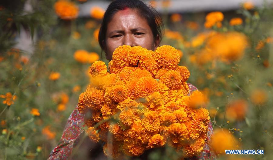 NEPAL-KATHMANDU-TIHAR FESTIVAL-FLOWERS