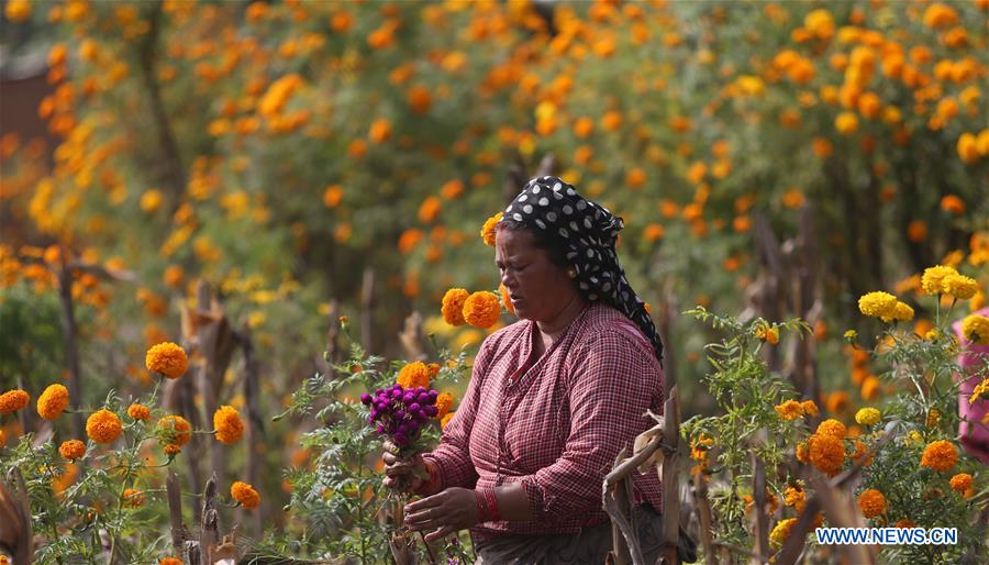 NEPAL-KATHMANDU-TIHAR FESTIVAL-FLOWERS