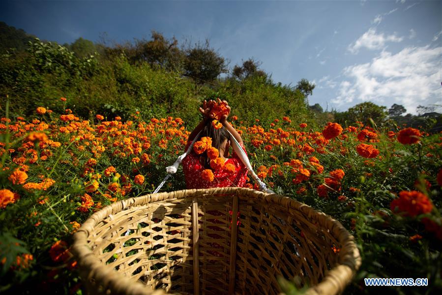 NEPAL-KATHMANDU-TIHAR FESTIVAL-FLOWERS