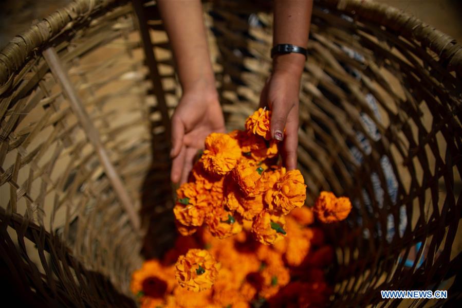 NEPAL-KATHMANDU-TIHAR FESTIVAL-FLOWERS