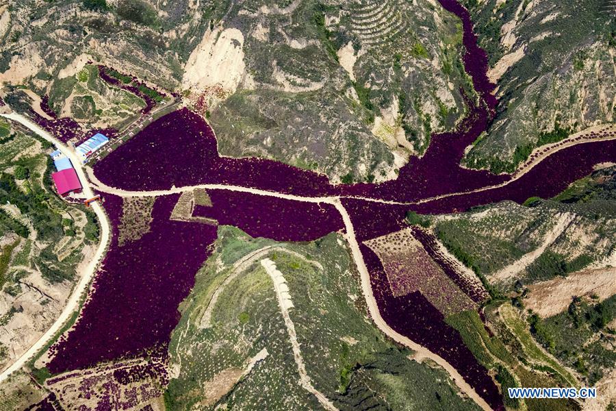 CHINA-SHANXI-ECOLOGICAL PROTECTION (CN)