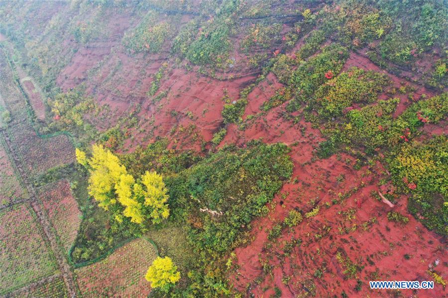 CHINA-SHANXI-ECOLOGICAL PROTECTION (CN)