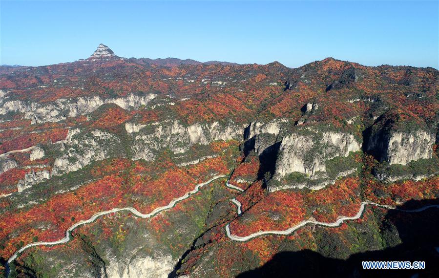 CHINA-HEBEI-PINGSHAN COUNTY-AUTUMN SCENERY-RED LEAF (CN)