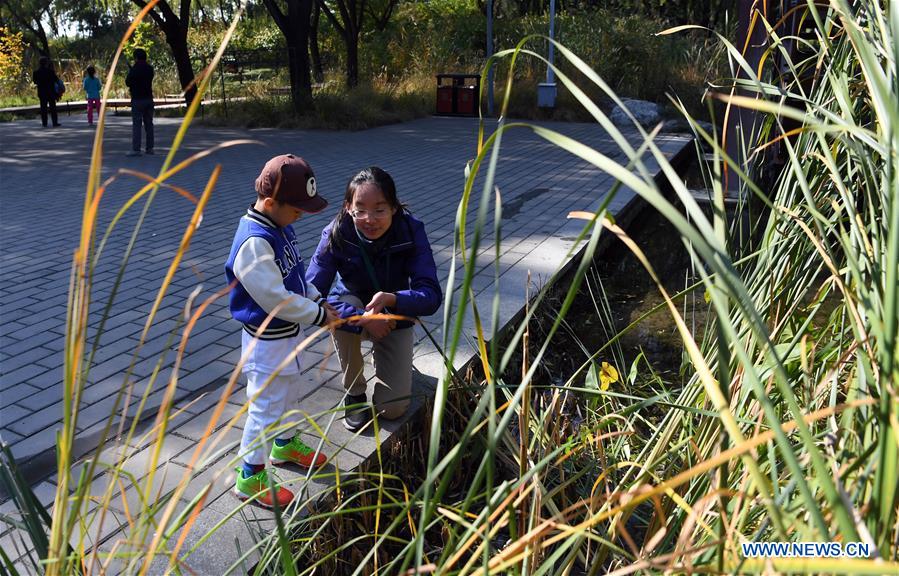 CHINA-BEIJING-NATURE OBSERVATION FESTIVAL (CN)