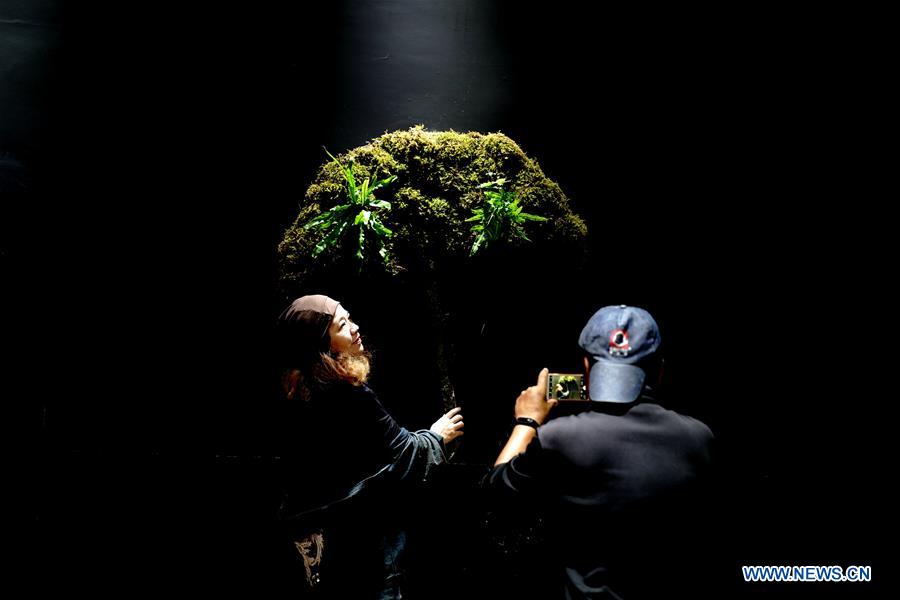 CHINA-SHANGHAI-SHADE PLANT EXHIBITION (CN)