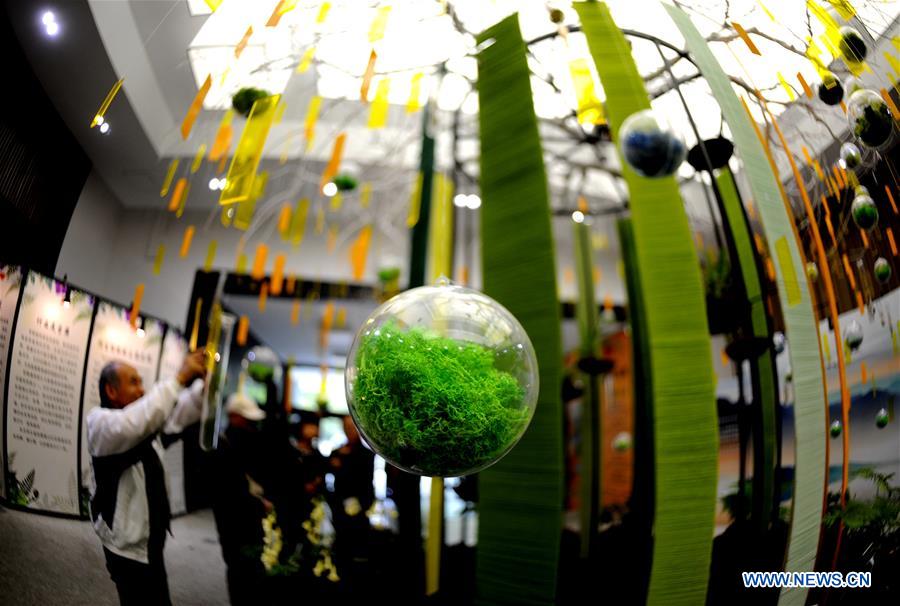 CHINA-SHANGHAI-SHADE PLANT EXHIBITION (CN)