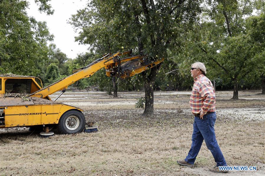 U.S.-GEORGIA-PECAN