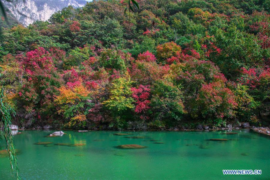CHINA-HENAN-ZHENGZHOU-YUNTAI MOUNTAIN-SCENERY (CN)