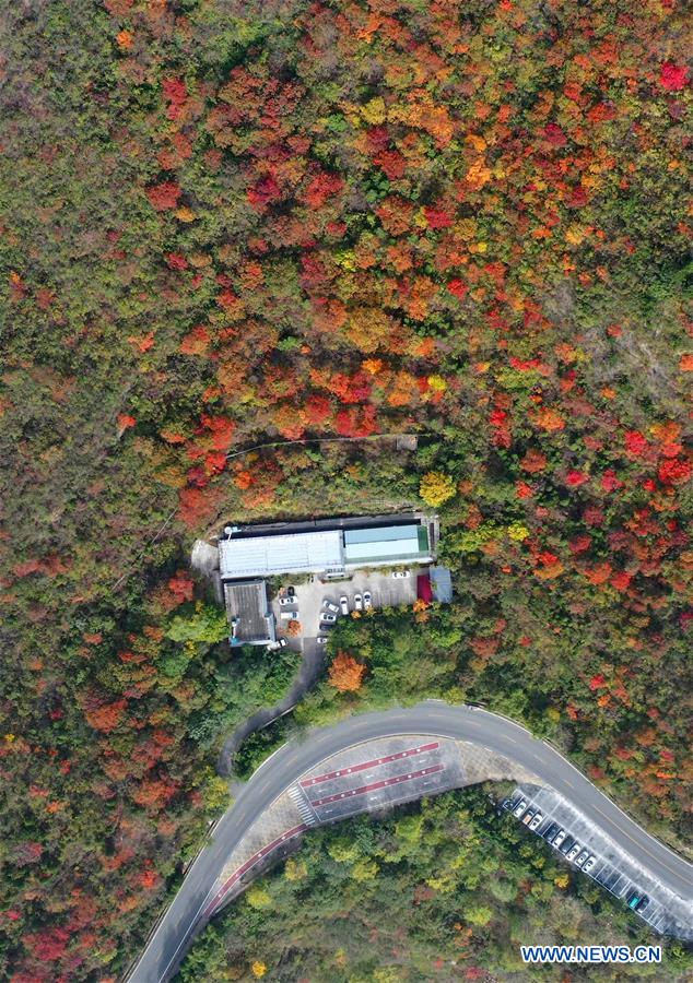 CHINA-HENAN-ZHENGZHOU-YUNTAI MOUNTAIN-SCENERY (CN)