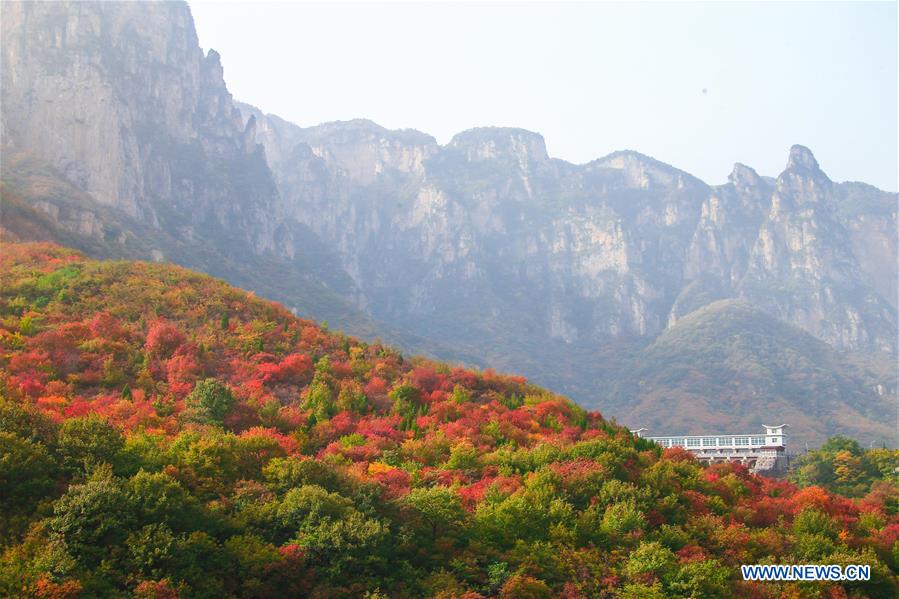 CHINA-HENAN-ZHENGZHOU-YUNTAI MOUNTAIN-SCENERY (CN)