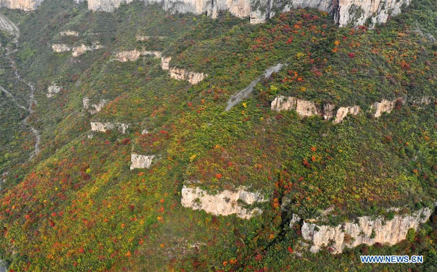 CHINA-HENAN-ZHENGZHOU-YUNTAI MOUNTAIN-SCENERY (CN)