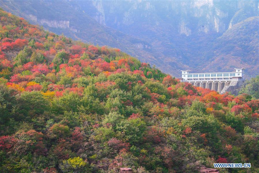 CHINA-HENAN-ZHENGZHOU-YUNTAI MOUNTAIN-SCENERY (CN)