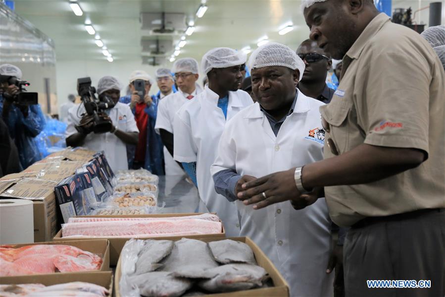 MOZAMBIQUE-BEIRA-FISHING PORT (CN)