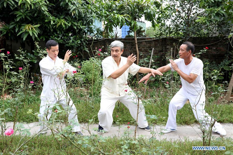 Feature Vietnamese Kung Fu, traditional medicine master heals