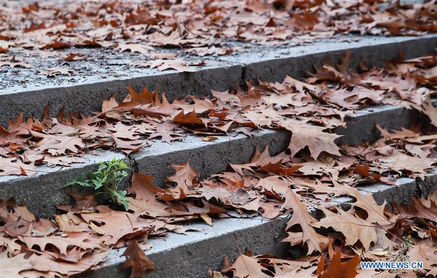GERMANY-BERLIN-AUTUMN