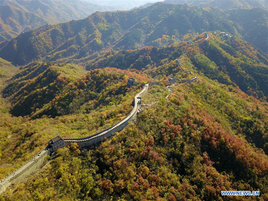 XINHUA PHOTOS OF THE DAY