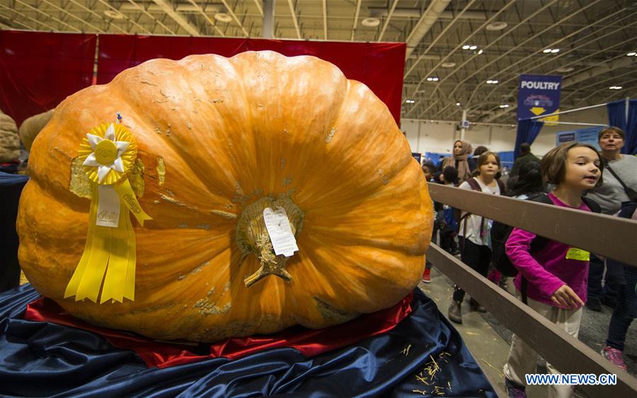 CANADA-TORONTO-ROYAL AGRICULTURAL WINTER FAIR