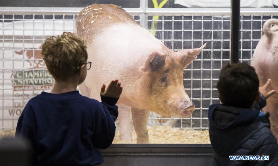 CANADA-TORONTO-ROYAL AGRICULTURAL WINTER FAIR