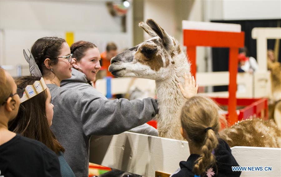 CANADA-TORONTO-ROYAL AGRICULTURAL WINTER FAIR