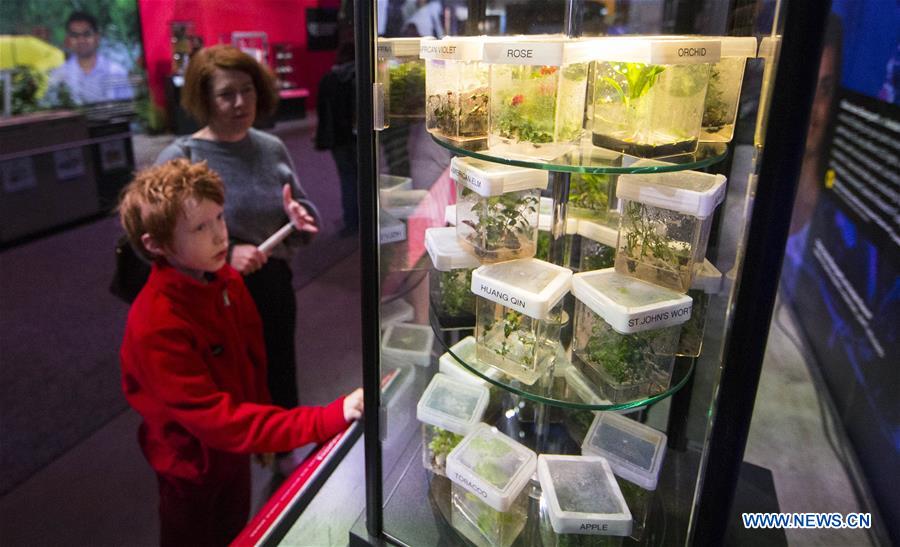 CANADA-TORONTO-ROYAL AGRICULTURAL WINTER FAIR