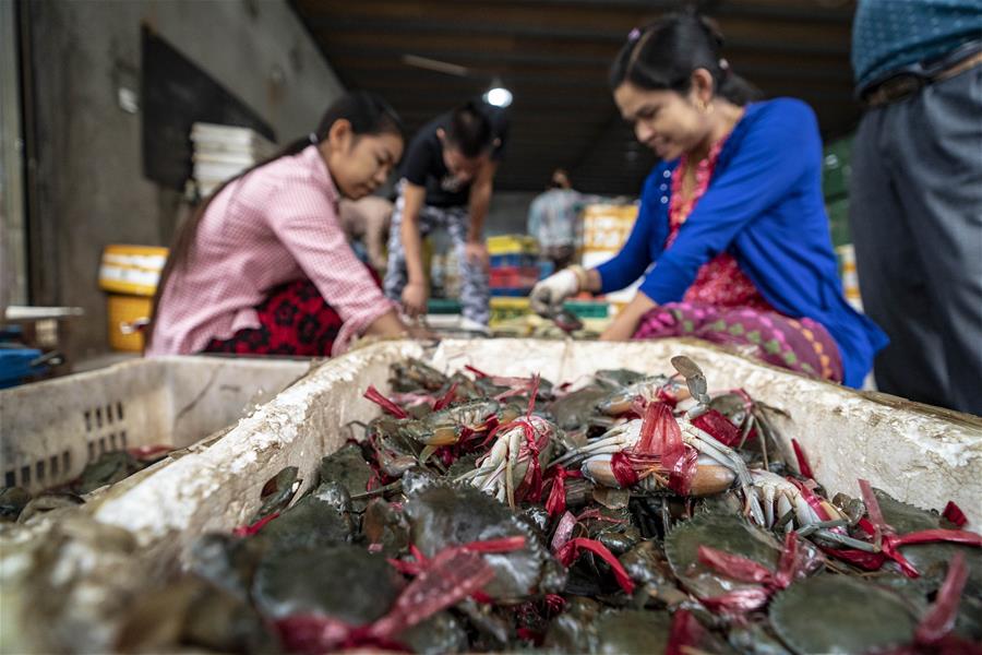 CHINA-YUNNAN-IMPORTED CRABS (CN)