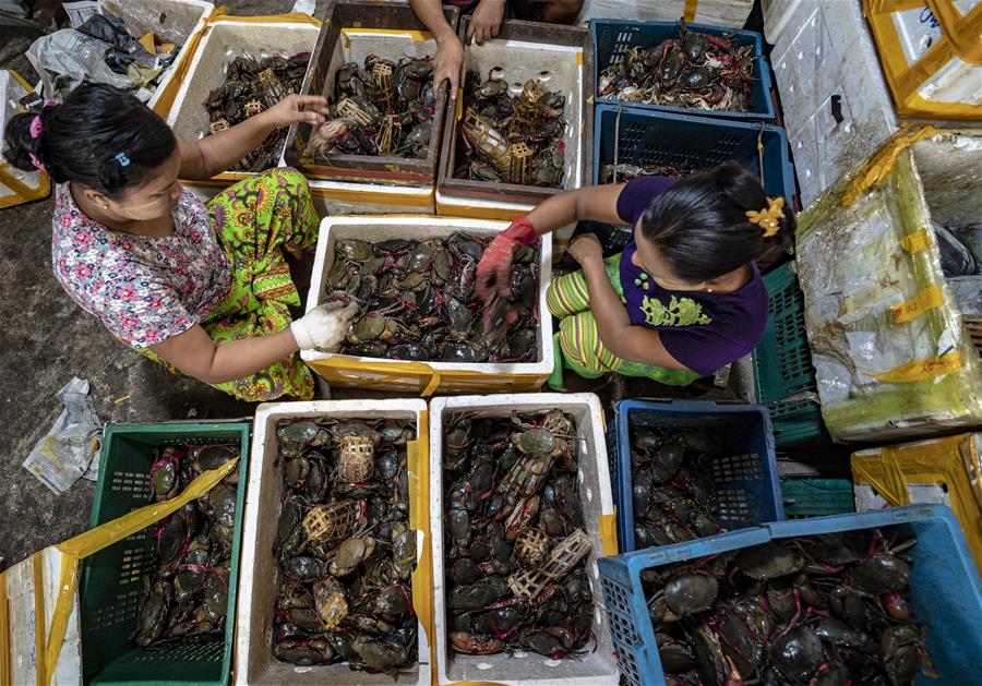 CHINA-YUNNAN-IMPORTED CRABS (CN)