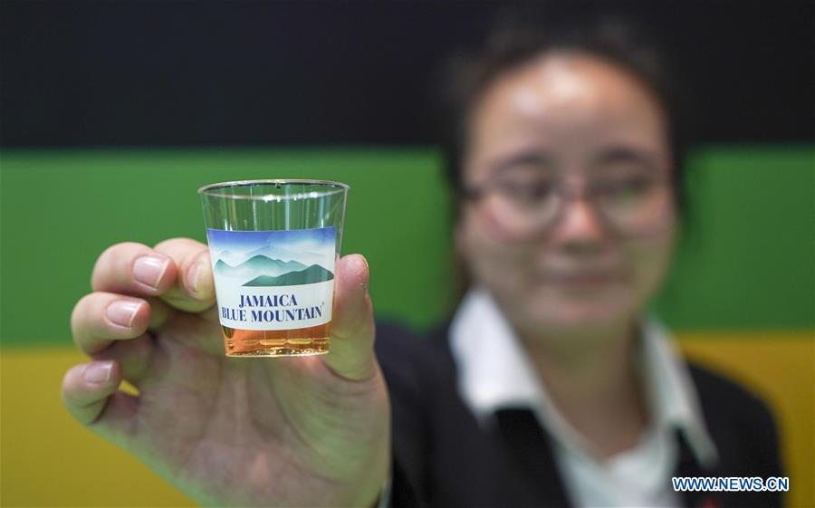 (CIIE)CHINA-SHANGHAI-CIIE-GUEST COUNTRIES OF HONOR(CN)