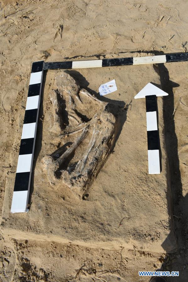 EGYPT-ISMAILIA-ARCHAEOLOGY-CATACOMB-EXCAVATION